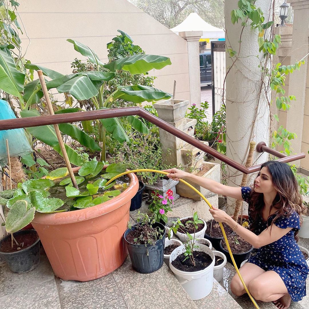 Bollywood Celebrities Seen Farming In Their Garden During The Lock Down