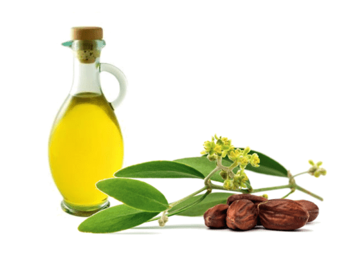 jojoba oil