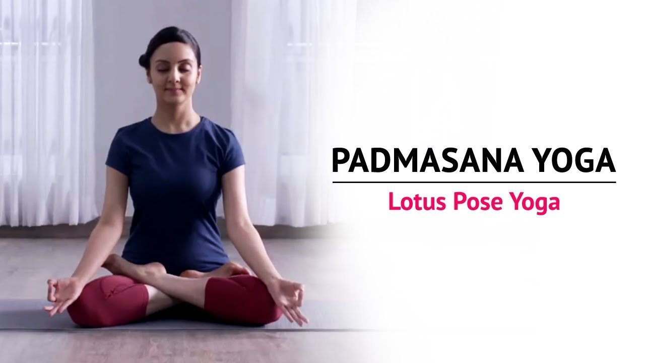 Padmasana or the Lotus Pose