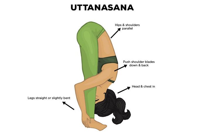 Uttanasana or Intense Forward Bending Pose
