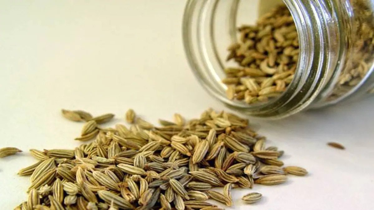 fennel-seeds-for-breast-enhancement