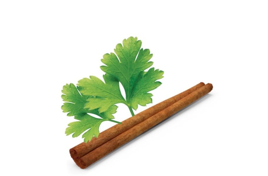 Cilantro For Weight Loss