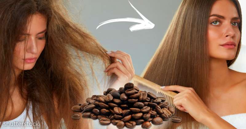 coffee shampoo diy