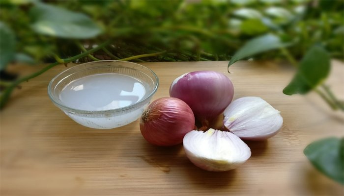 onion facial- onion juice