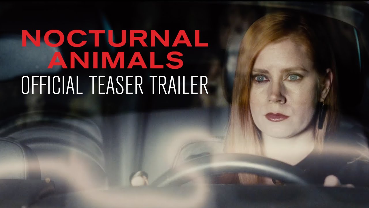 underrated shows on netflix - nocturnal animals