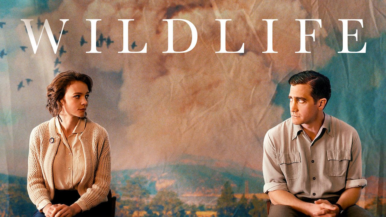 underrated shows on netflix - wildlife