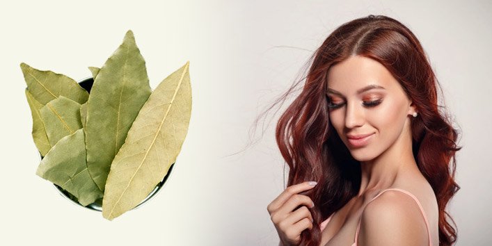 bay leaf benefits for hair