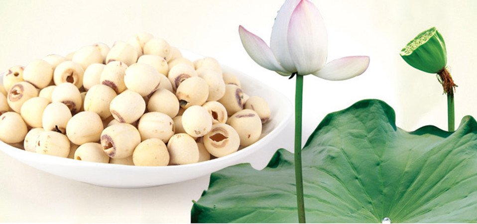 lotus seeds on skin