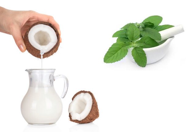 basil for hair